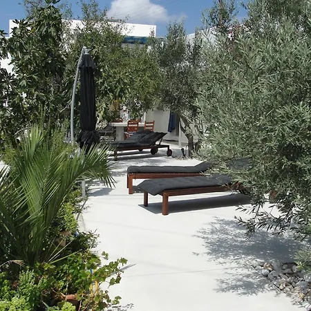 Avli & Apartment *